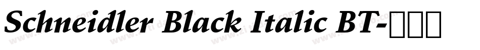 Schneidler Black Italic BT字体转换